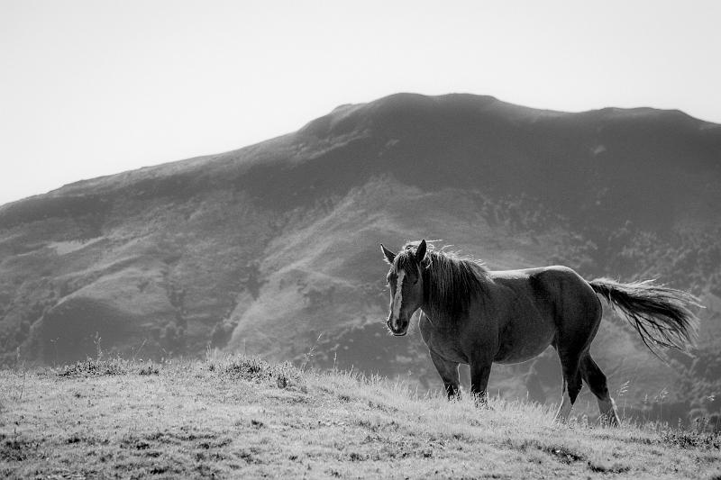 2020_09_17_Cantal (0004).jpg